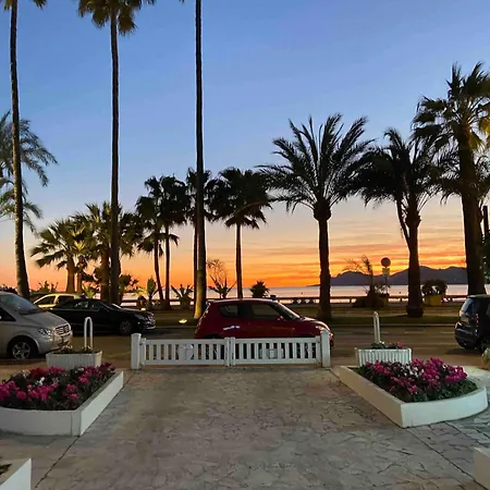 Daire O Beatrice Croisette *